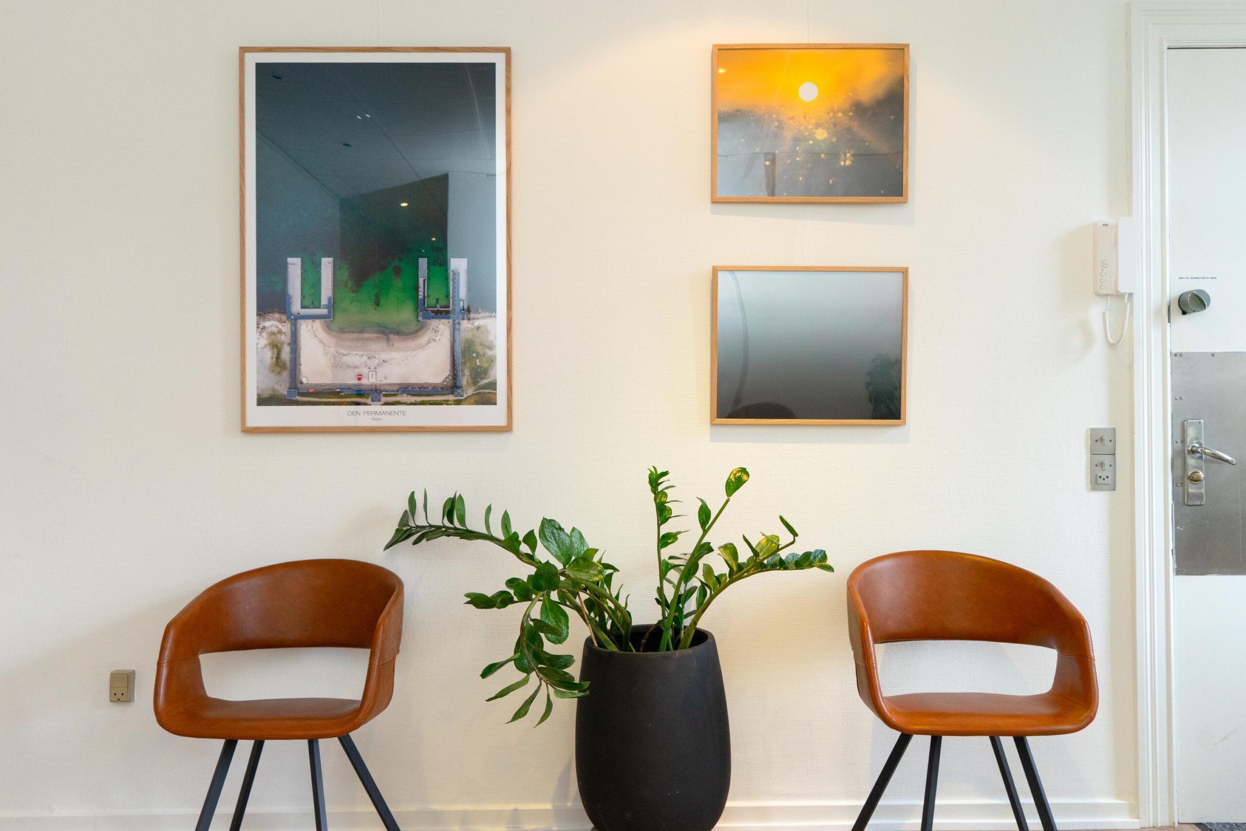 The waiting room at the clinic with two chairs and a plant